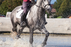 CASCADE POETIC CHAMPION