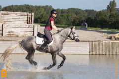 CASCADE POETIC CHAMPION