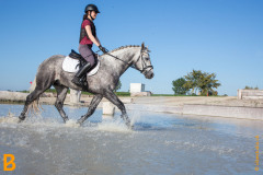 CASCADE POETIC CHAMPION