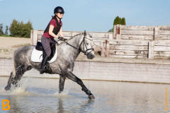 CASCADE POETIC CHAMPION